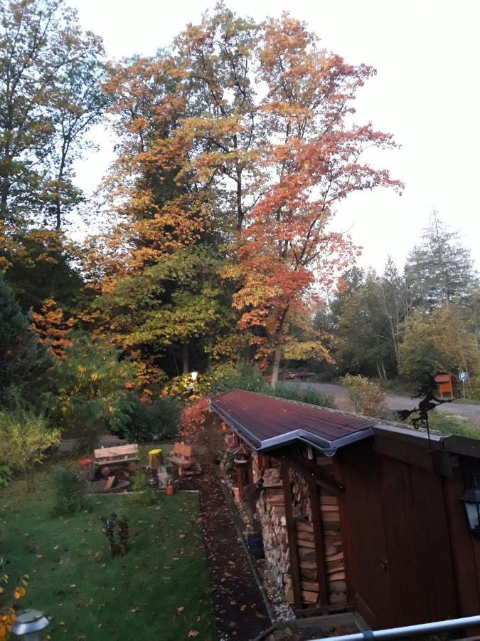 Ferienwohnung Am Wald Bad Herrenalb Esterno foto